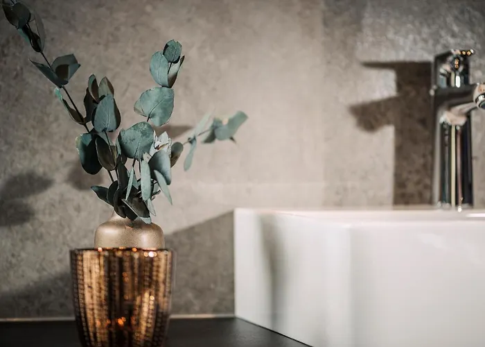 Sieghard 메이른호픈